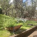 El Rincon De Gredos * Navaluenga