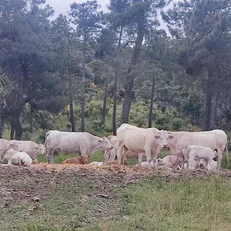 El Rincon De Gredos
