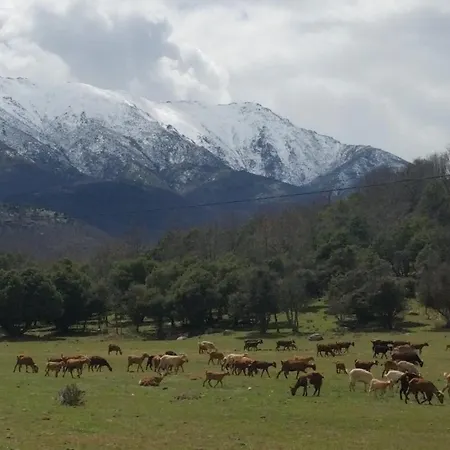 El Rincon De Gredos Kır Evi
