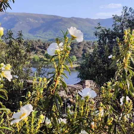 El Rincon De Gredos Navaluenga