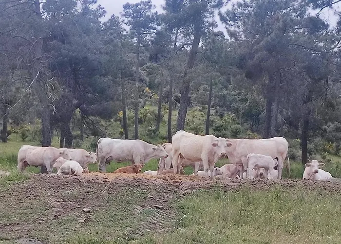 El Rincon De Gredos * Навалуэнга